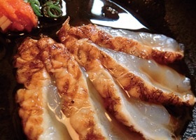 Wakasa Fugu Tataki
