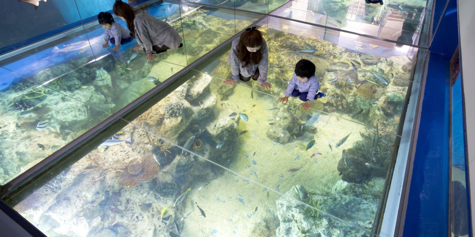 グルメや恋のパワースポットなど見どころ多数！ 天空の楽園「レインボーライン山頂公園」を360°楽しみ尽くそう