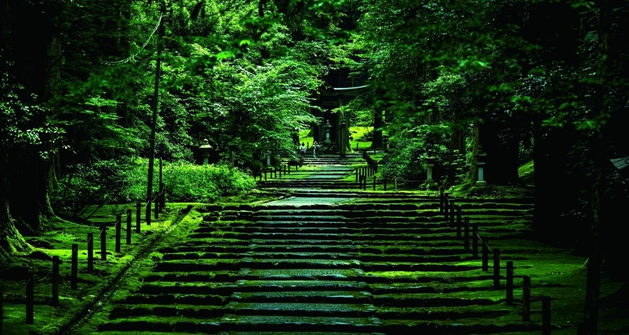Hakusan Heisenji ShrineAn Ancient Shrine—and Once a Temple—Covered in Moss