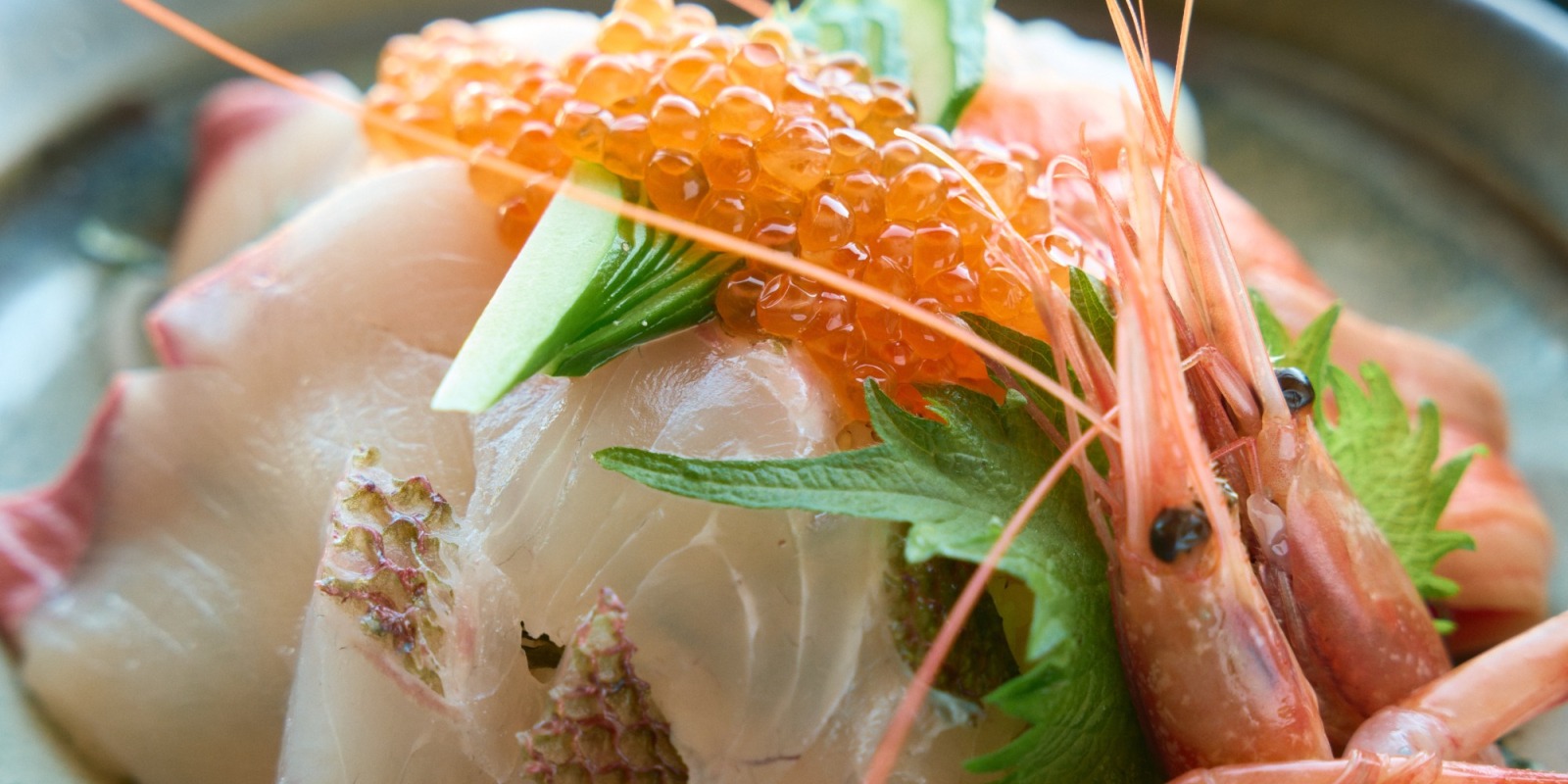 【福井の定番】海鮮丼好き必見！越前海岸でしか食べられない「浜の活丼」の魅力とは