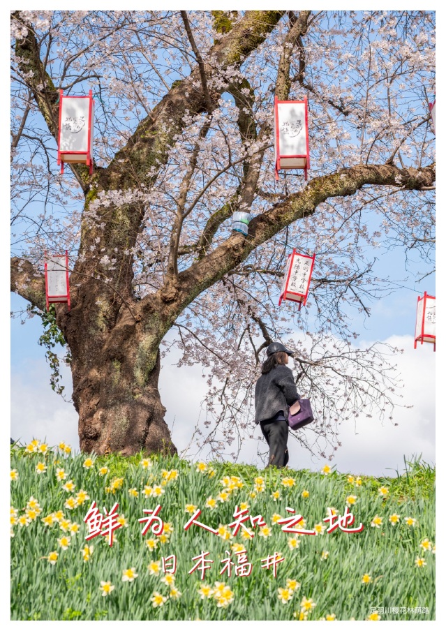 入境旅游宣传册《鲜为人知的地方》（简体字版）