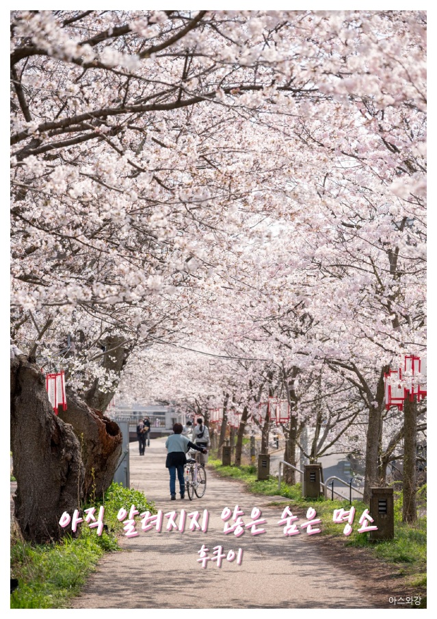 인바운드 팸플릿 『알려지지 않은 곳』(한국어판)