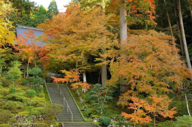 萬徳寺