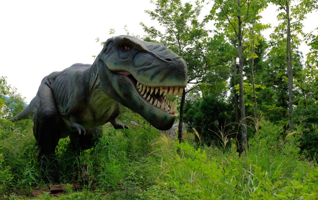 Fukui: the Dinosaur Capital of Japan