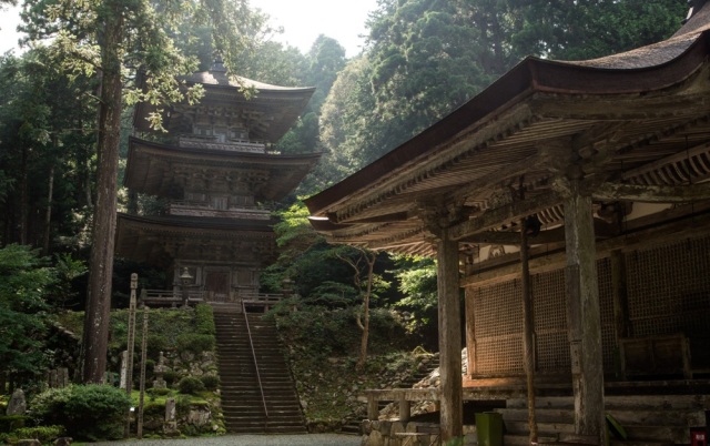 重振身心：福井的古寺和神社