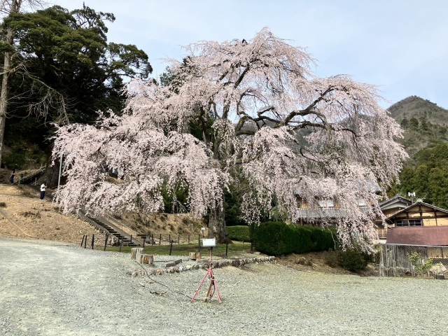 妙祐寺