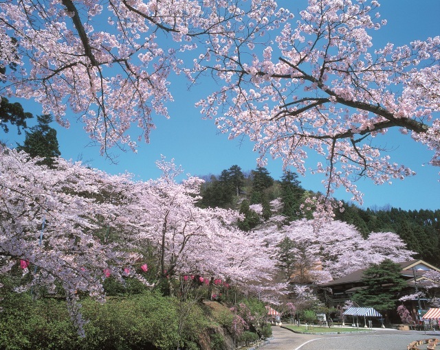 花筐公園