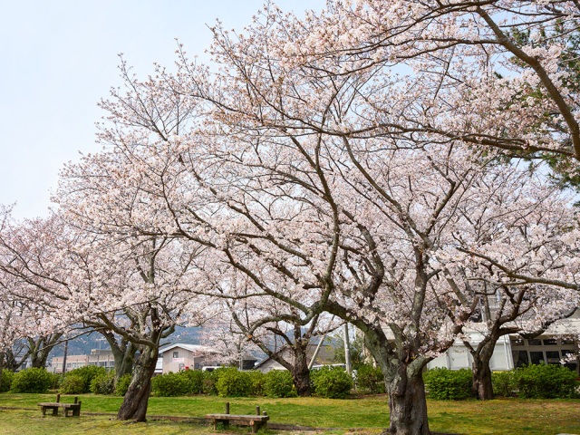 城山公園・明鏡洞(城山海水浴場)