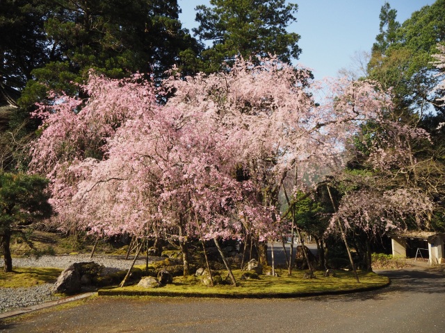 明通寺