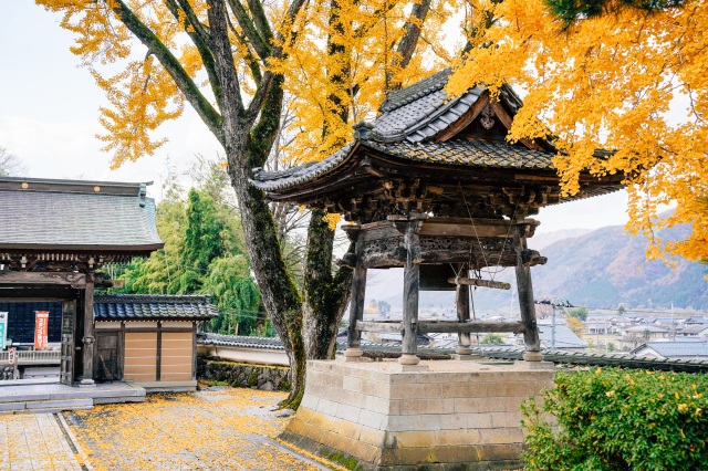 興行寺 真宗未来館MUSEUM 華の蔵