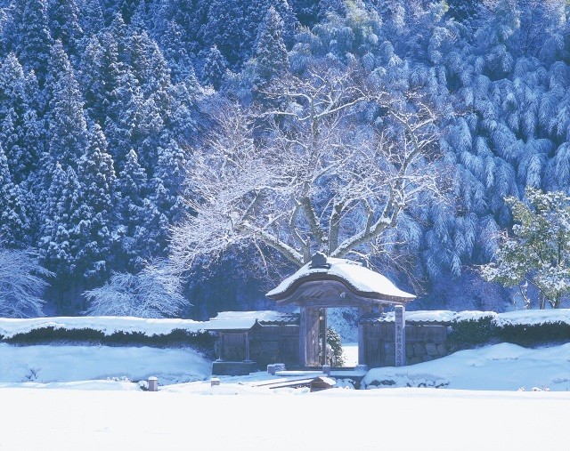 一乗谷朝倉氏遺跡・冬の唐門・雪景色