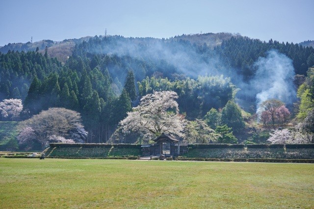 一乗谷朝倉氏遺跡・春の唐門