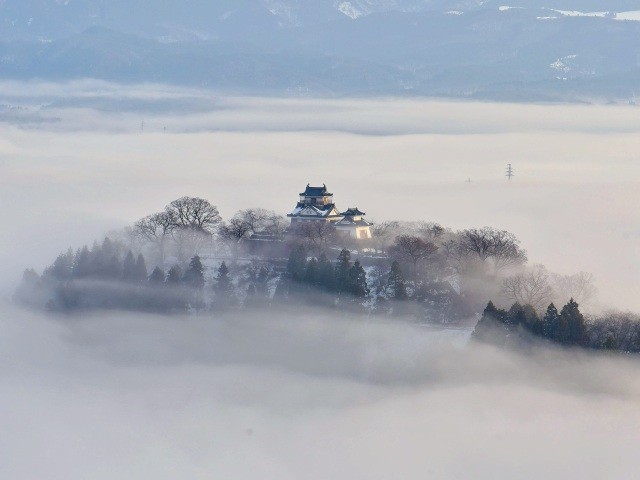 越前大野城（亀山公園）