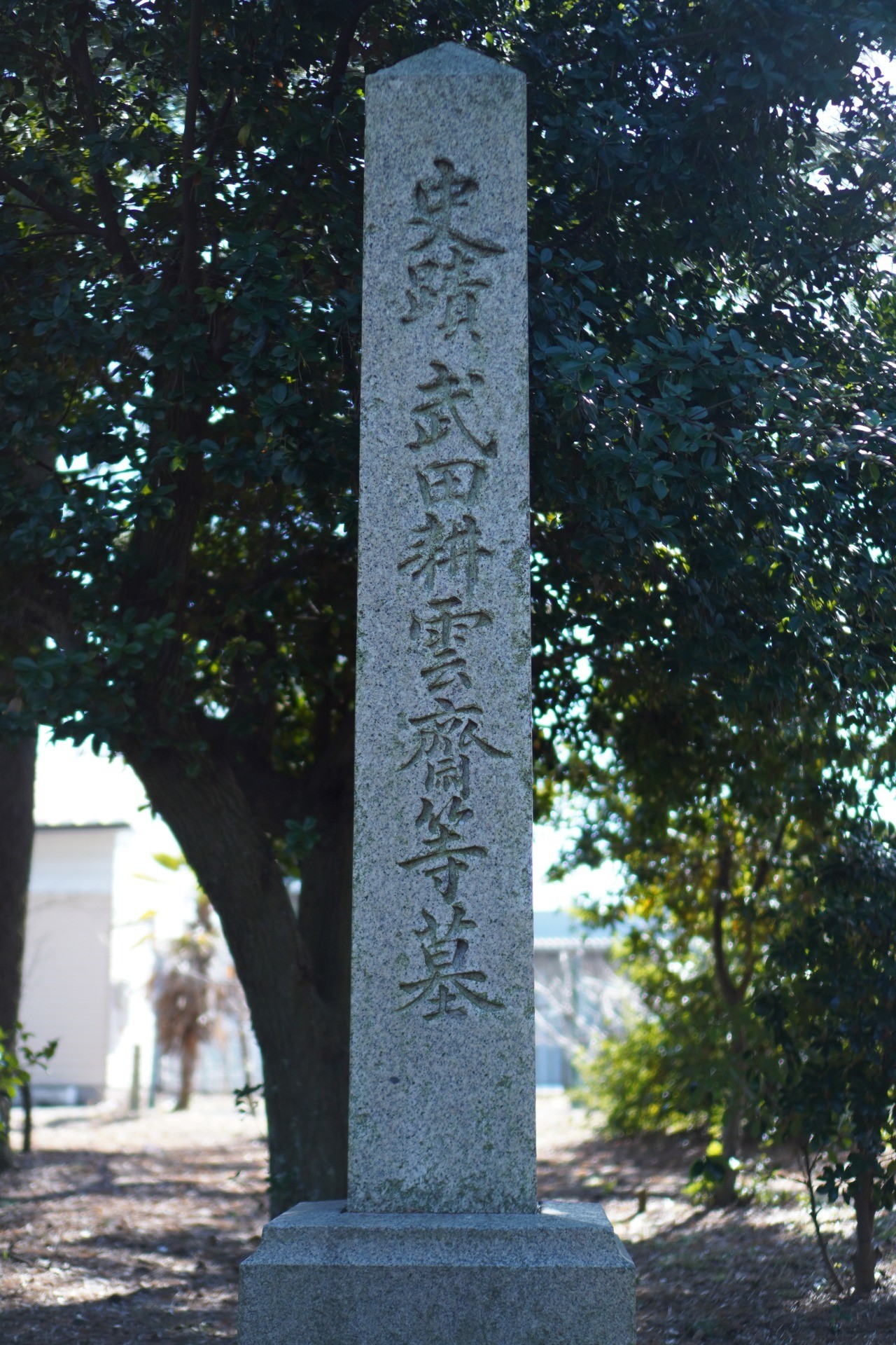 天狗党の乱 - Wikipedia