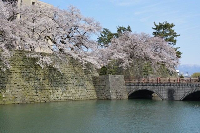 福井城址