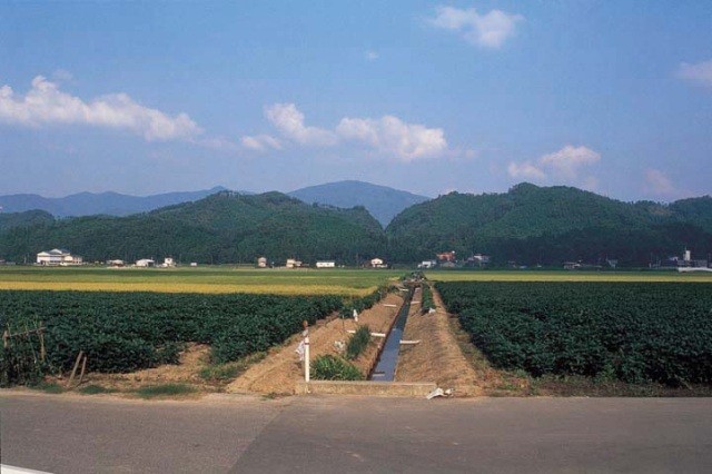 横山古墳群