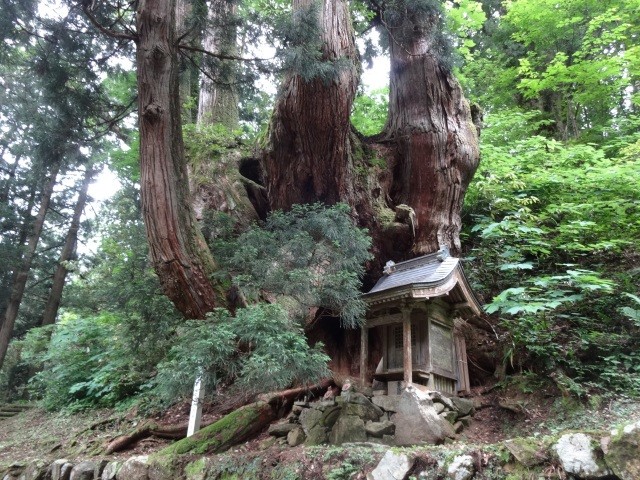 岩屋観音