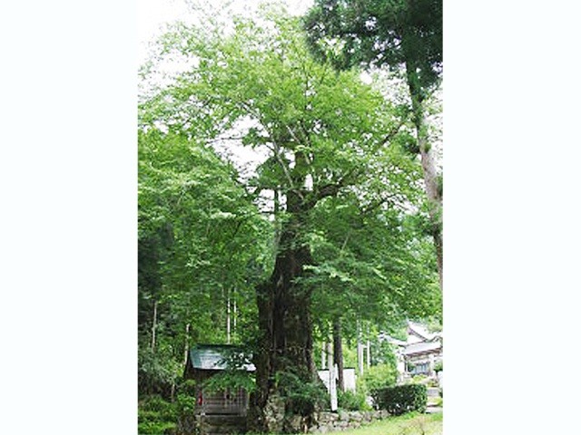 苅田比売神社