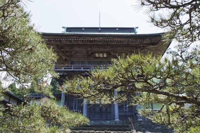 大成寺