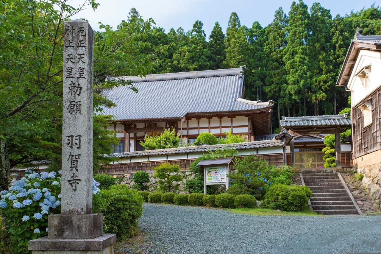 羽賀寺｜おすすめの観光スポット｜【公式】福井県 観光/旅行サイト ｜ ふくいドットコム