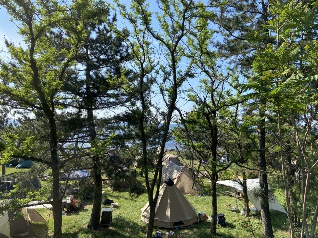 鮎川園地キャンプ場