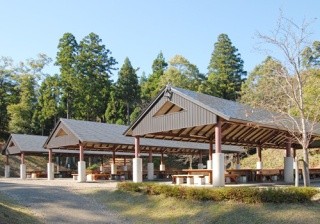 森林放學後村