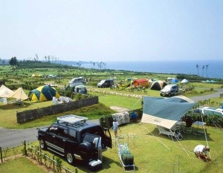 芝政世界汽車露營場