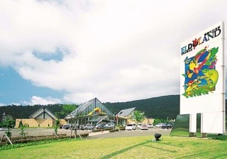 Wakasa Takahama El Dorando