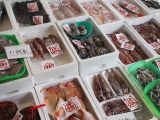 Wakasa Obama Fish Center