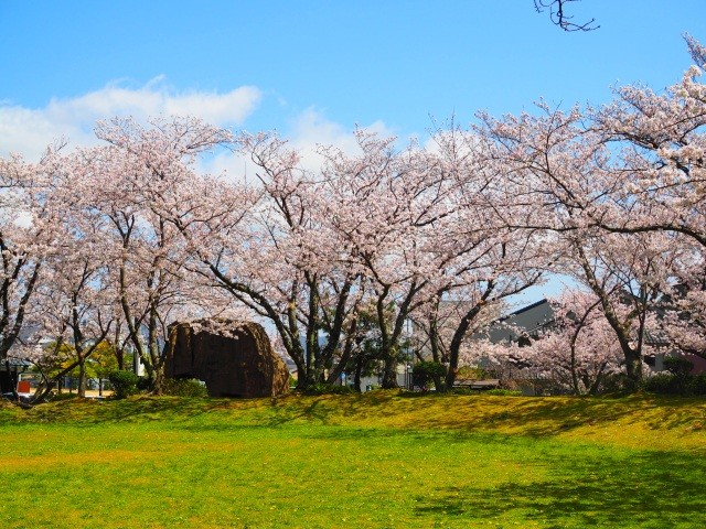 小浜公園