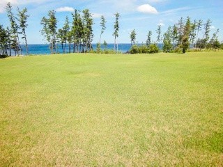 Sakai City Seaside Natural Park