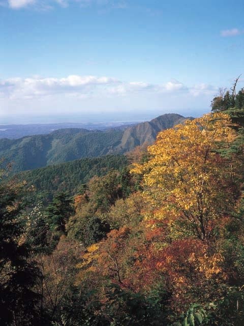 刈安山森林自然公園