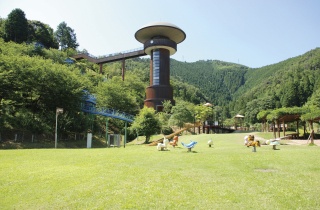Kinoko-no-Mori Amusement Land