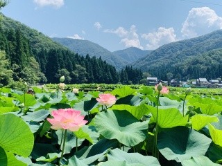 花はす公園