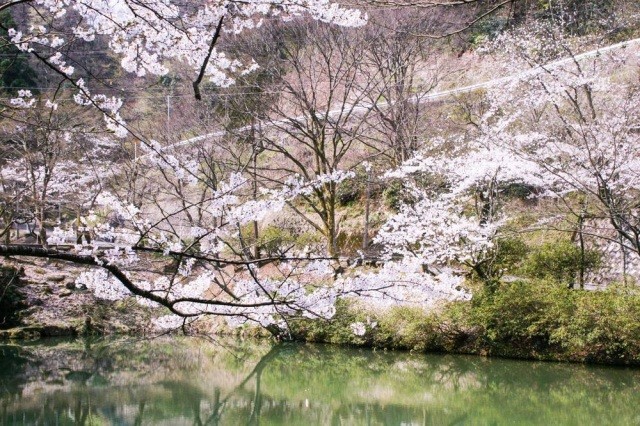 芦山公園