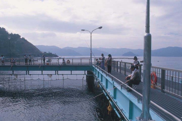 海釣り公園みかた