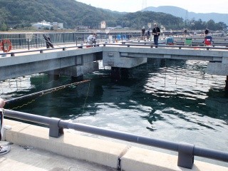 丹生海洋公園