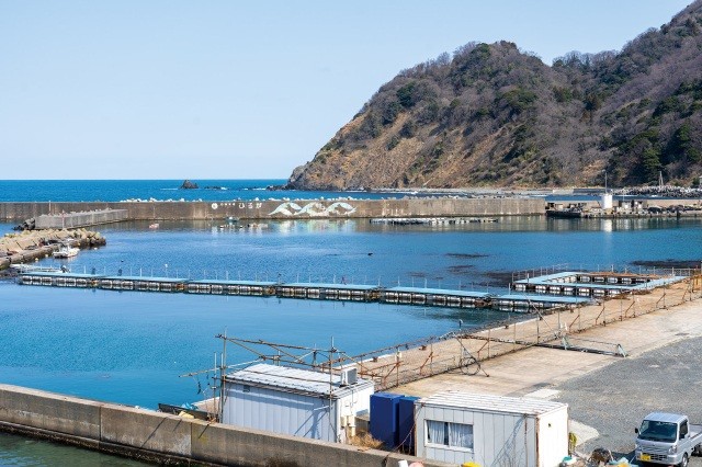 ひるが海上釣堀