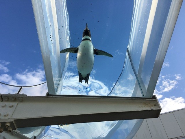 越前松島水族館