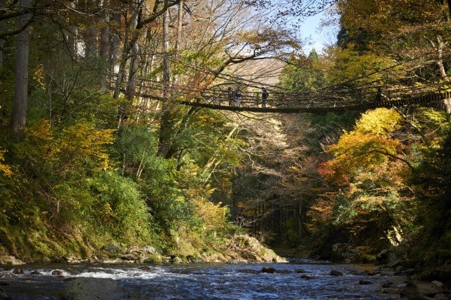 紅葉の見頃は10月下旬から11月上旬頃