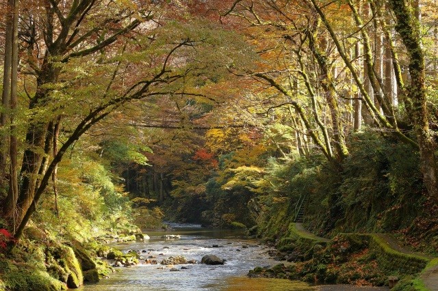 紅葉の見頃は10月下旬から11月上旬頃