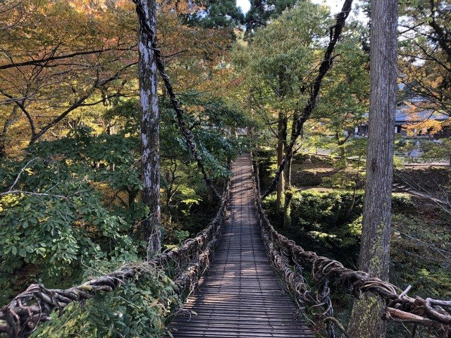 紅葉の見頃は10月下旬から11月上旬頃