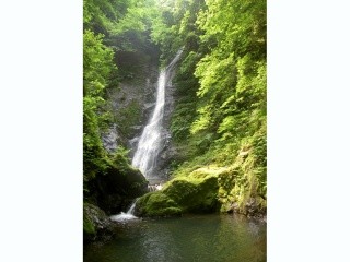 Wild Deer Falls