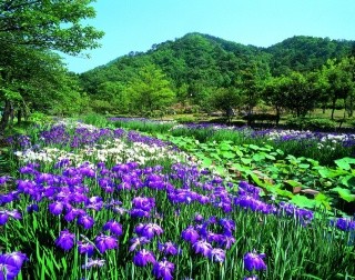 万葉の里  味真野苑