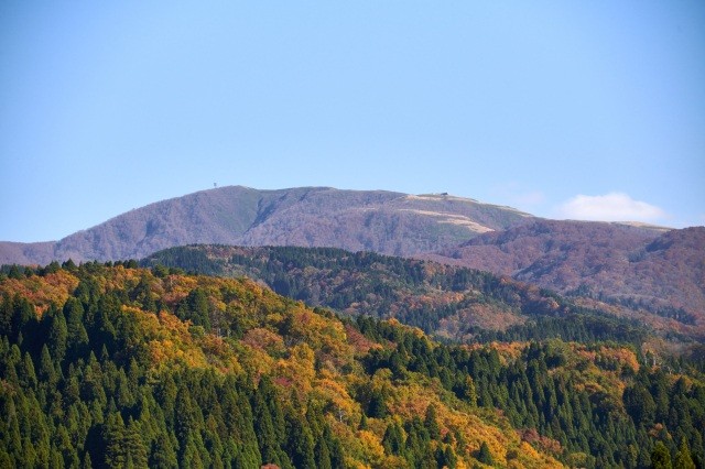 紅葉の見頃は例年10月2週～3週ごろ