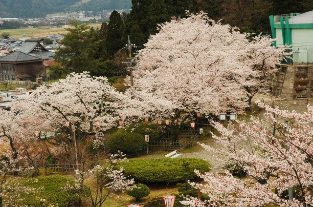 松岡公園