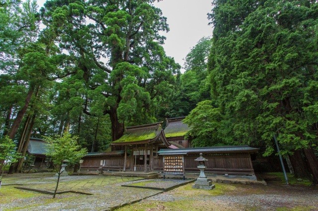 若狭姫神社(若狭一宮)