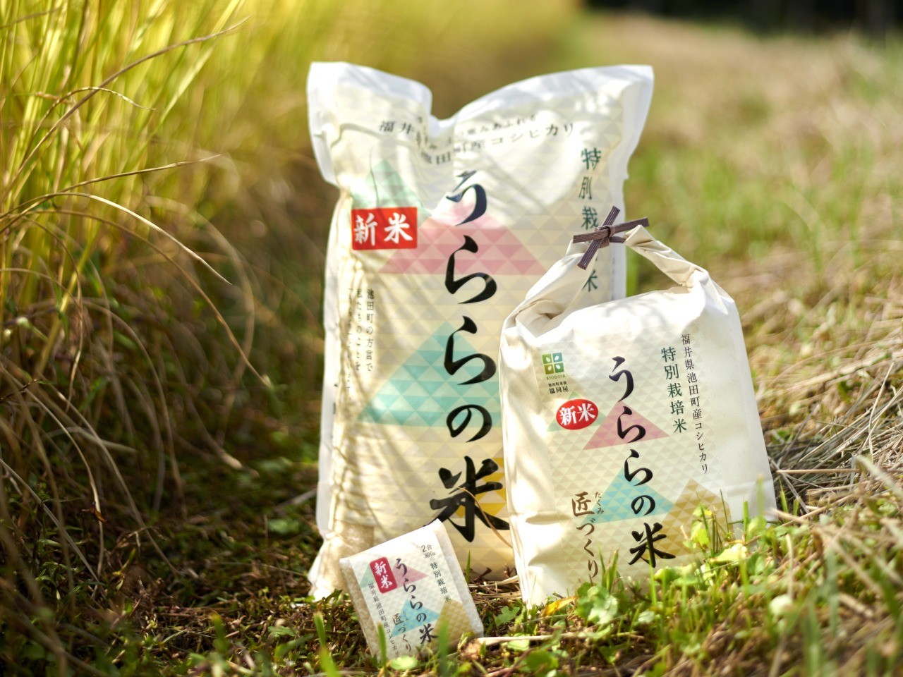 池田町産コシヒカリ「うららの米」