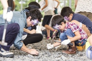 Doki-doki Dinosaur Digging Land