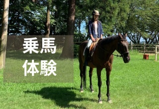 騎馬體驗
